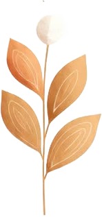 a white flower with a brown stem 1.jpg